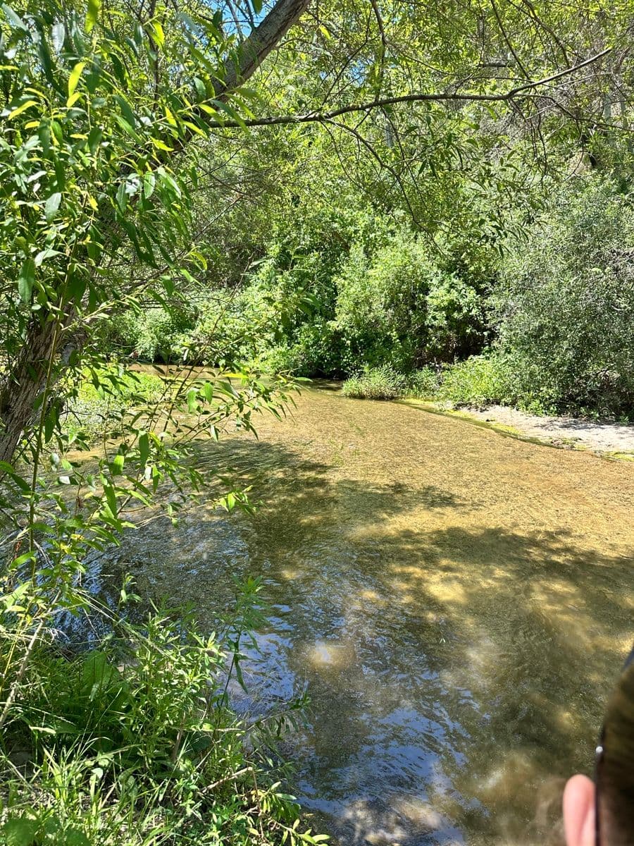 Santa Margarita stream crossing 1